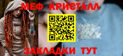 прущие грибы Ярославль