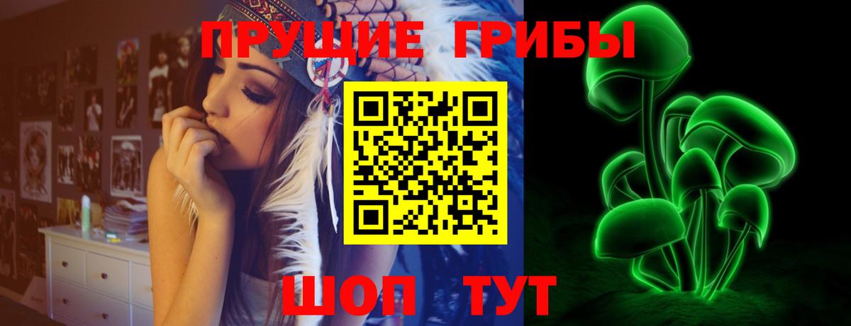 Псилоцибиновые грибы GOLDEN TEACHER Горно-Алтайск
